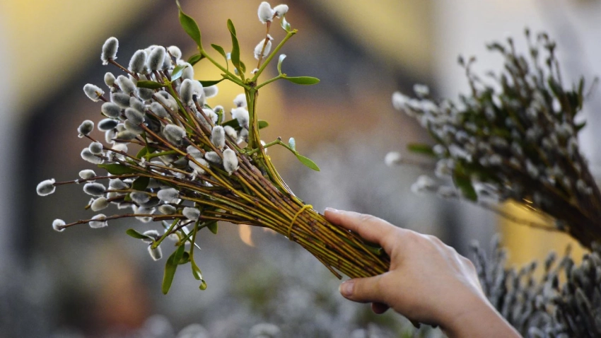 Какие обряды и ритуалы в Вербное воскресенье помогут привлечь благополучие и здоровье