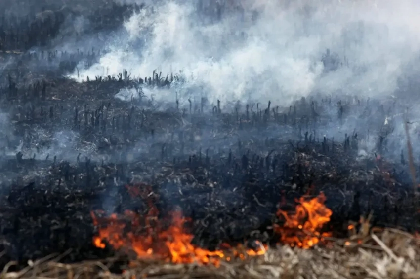 Уничтожим Украину, чтобы не досталась русским. Тактика выжженной земли против грандиозного праздника Победы