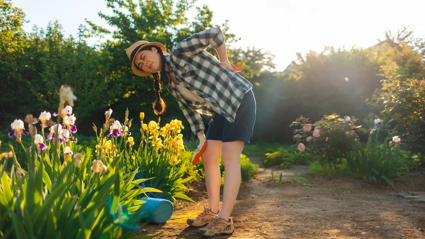 Какие 9 коварных недугов поджидают беспечных садоводов на грядках