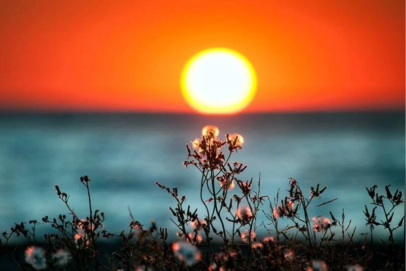 Летнее солнцестояние 2025 года: как подготовиться к гармонии во второй половине года