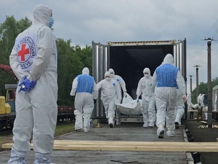 Украинской стороне передали ещё 1200 тел погибших солдат ВСУ