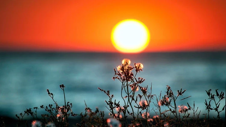 Церковный и народный праздник день Мефодия 3 июля 2025 года: приметы и традиции