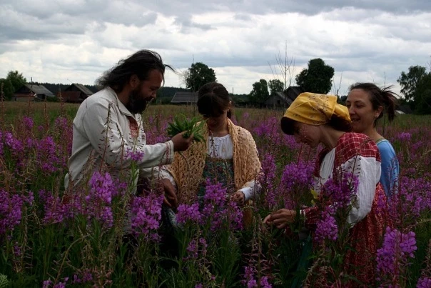 Какие 10 трав нужно собрать в ночь Ивана Купалы с 6 на 7 июля, иначе удачи не видать