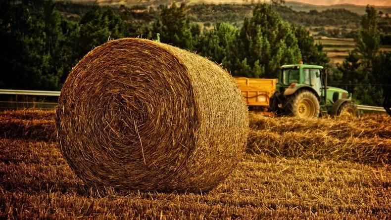 Праздник святого Сампсона Странноприимца и Самсона Сеногноя отмечают 10 июля 2025 года: что можно и нельзя делать
