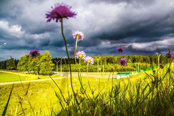 Емельянов день 31 июля 2025 года: приметы и поверья праздника