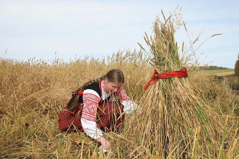 Праздник Макринин день 1 августа 2025 года: как в этот день предсказывали дождь