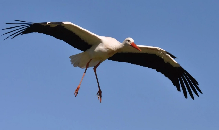 Церковный и народный праздник день Мефодия 3 июля 2025 года: приметы и традиции
