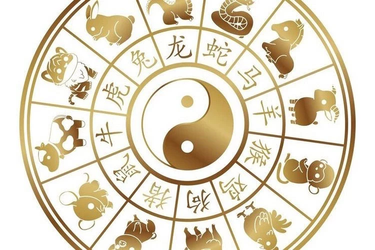 Особый шанс: шесть китайских знаков зодиака ждут победы и подарки судьбы