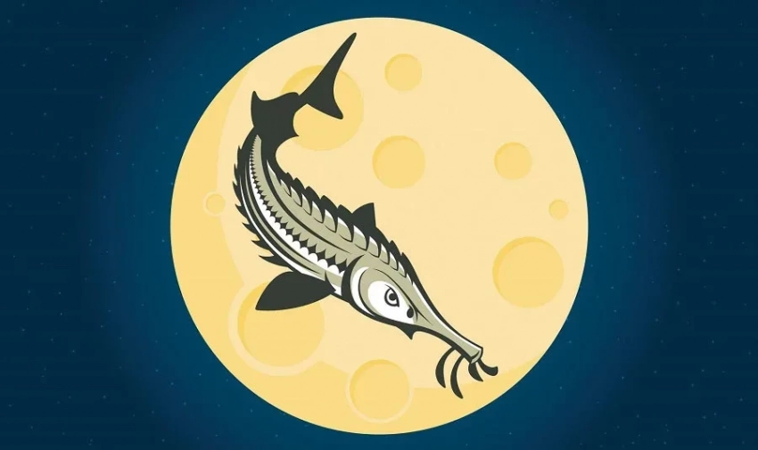 Ощутят все: как Осетровое полнолуние 9 августа 2025 повлияет на знаки зодиака