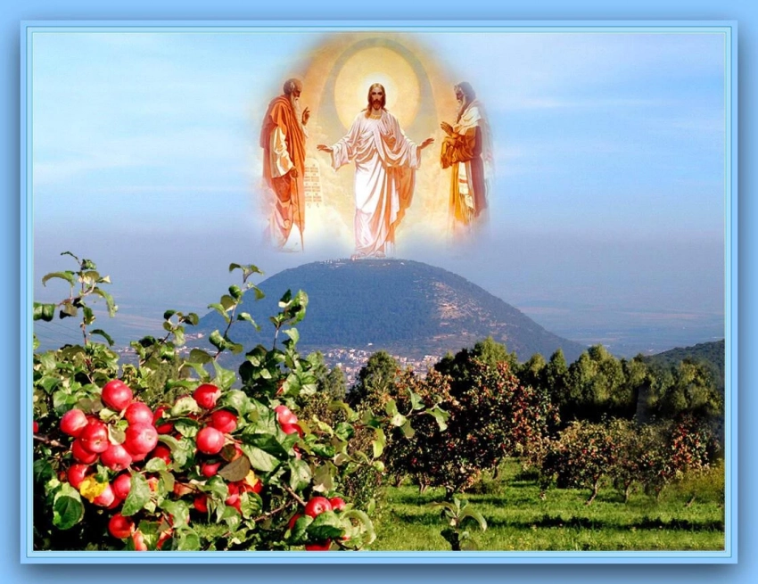 Приметы на Яблочный Спас, 19 августа 2025 года, что можно и что нельзя делать в этот день