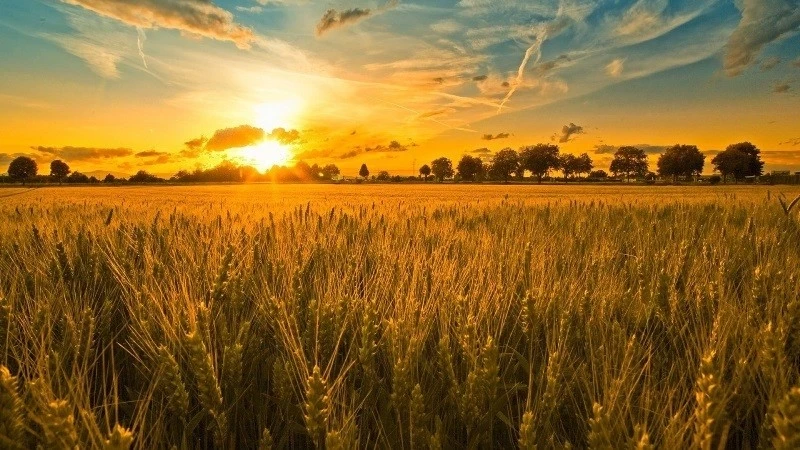 6 сентября 2025 года православные чтут память епископа Евтихия Тихого: история и традиции праздника