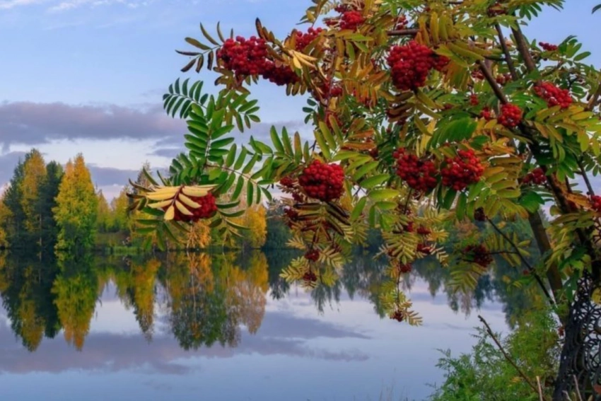 Какой будет погода осенью и зимой, можно узнать по приметам и поверьям на 2 сентября 2025 года