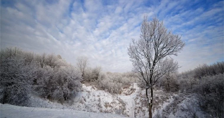 Как на Руси 4 февраля молодицы узнавали характеры будущих мужей